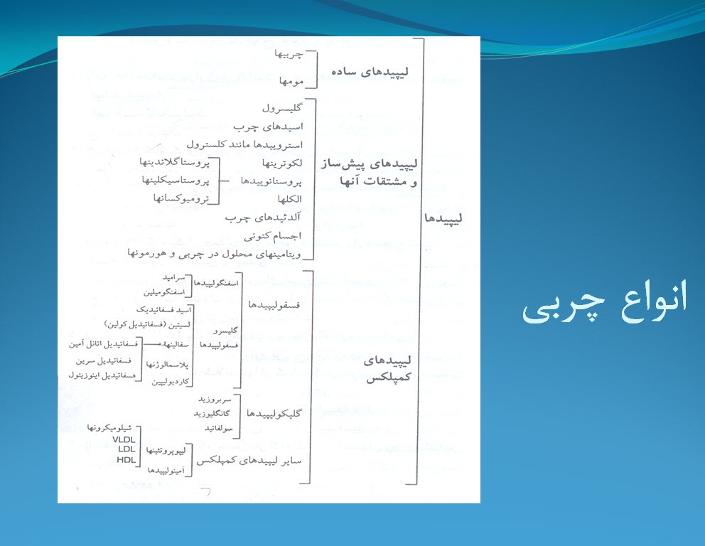 پاورپوینت ساختار و متابولیسم چربی در فعالیت های ورزشی (ویژه ارائه کلاسی درس فیزیولوژی ورزشی)
